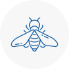 Bee Nest Removal Atherstone