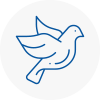 Bird Prevention Atherstone