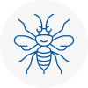 Atherstone Hornet Nest Removals