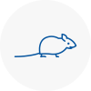 Mice Exterminators In Atherstone