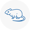 Rat Control Atherstone