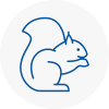 Atherstone Rodent Removals